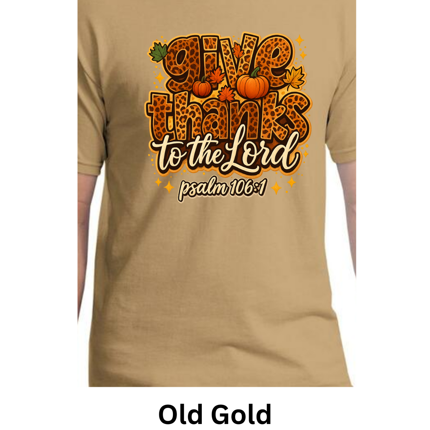 Give Thanks To The Lord